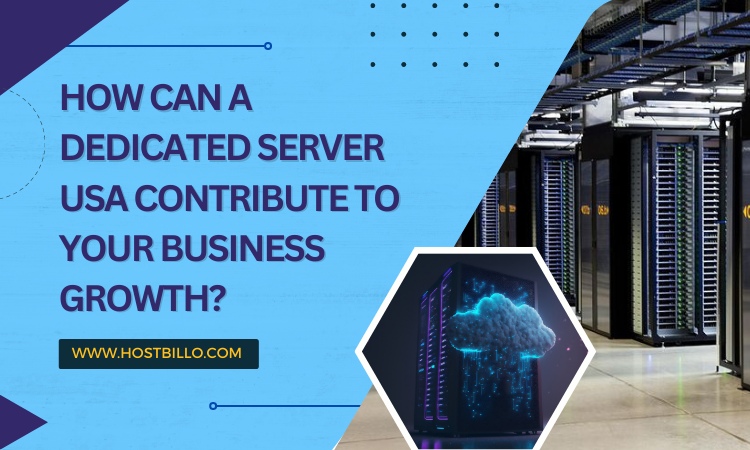 How Can A Dedicated Server USA Contribute to Your Business Growth?