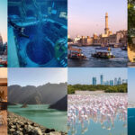 Things To Do While In Dubai